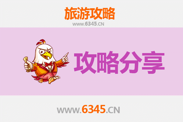 漳州龙文旅游攻略：跟团与自由行全方位解析